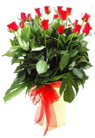 Vazoda 15 adet kırmızı gül  Ankara online çiçek gönderme sipariş 