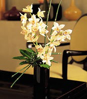  Ankara iekiler  cam yada mika vazo ierisinde dal orkide