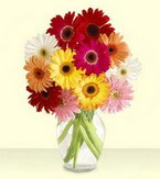  Ankara çiçek yolla , çiçek gönder , çiçekçi   cam yada mika vazoda 15 özel gerbera