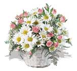 pembe güller ve krizantemler   Ankara çiçek online çiçek siparişi 