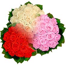 3 renkte gül seven sever   Ankara çiçek , çiçekçi , çiçekçilik 