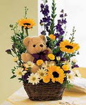 karisik aranjman ve ayicik   Ankara çiçek gönderme 