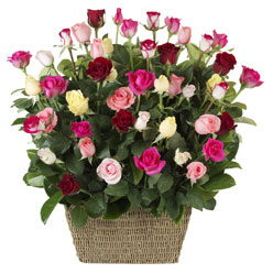 41 adet karisik gül sepeti   Ankara çiçek siparişi vermek 