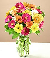  Ankara çiçek online çiçek siparişi  17 adet karisik gerbera
