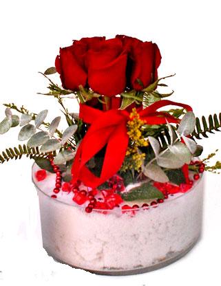  Ankara çiçek online çiçek siparişi  SEVMEK GÜZEL DIYENLERE 7 ADET GÜL