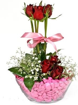  Ankara hediye çiçek yolla  SEVIYORUM DIYENLER 7 kirmizi gül tanzim