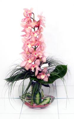  Ankara internetten çiçek siparişi  cam içerisinde tek dal orkide