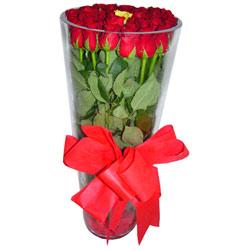  Ankara çiçek online çiçek siparişi  12 adet kirmizi gül cam yada mika vazo tanzim