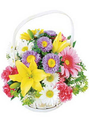  Ankara online çiçekçi , çiçek siparişi  Mevsim sepeti karisik mevsim çiçekleri