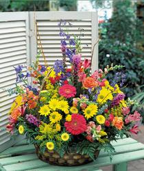  Ankara hediye sevgilime hediye çiçek  karisik mevsim sepet çiçegi