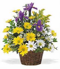  Ankara çiçek online çiçek siparişi  çiçek klasik kir sepeti sevenlere