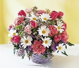  Ankara online çiçek gönderme sipariş  Karisik mevsim çiçek sepeti 