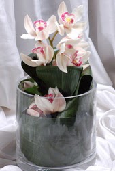  Ankara internetten çiçek siparişi  Cam yada mika vazo içerisinde tek dal orkide