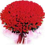  Ankara online çiçekçi , çiçek siparişi  1001 adet kirmizi gülden çiçek tanzimi