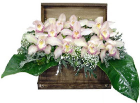  Ankara ucuz çiçek gönder  sandik içerisinde 1 dal orkide