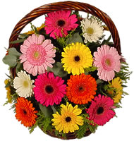Sepet içerisinde sicak sevgi çiçekleri  Ankara İnternetten çiçek siparişi 