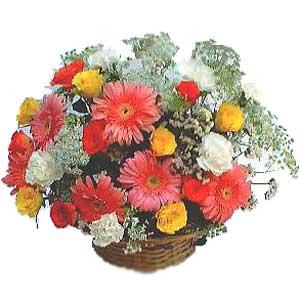 Sepet içerisinde karisik kir çiçekleri  Ankara çiçek siparişi sitesi 