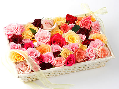 33 adet renkli gül sepet içerisinde  Ankara online çiçek gönderme sipariş 