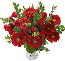 5 adet kirmizi gül 5 adet gerbera aranjmani  Ankara İnternetten çiçek siparişi 