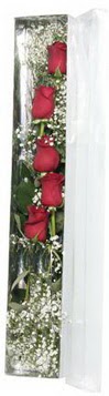  Ankara çiçek siparişi sitesi   5 adet gülden kutu güller