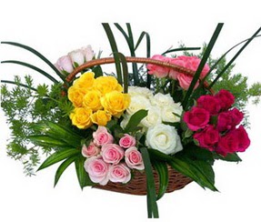  Ankara ucuz çiçek gönder  35 adet rengarenk güllerden sepet tanzimi