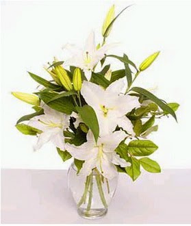  Ankara çiçek gönderme  2 dal cazablanca vazo çiçeği