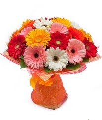 Renkli gerbera buketi  Ankara anneler günü çiçek yolla 