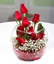 Cam fanus içerisinde 9 adet kırmızı gül  Ankara çiçek siparişi vermek 