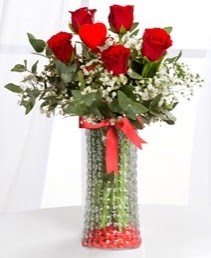 Cam vazoda 5 adet kırmızı gül kalp çubuk  Ankara ucuz çiçek gönder 