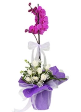 1 dal mor orkide ve 11 adet beyaz gül  Ankara 14 şubat sevgililer günü çiçek 