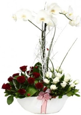 Tek dal beyaz orkide 8 beyaz 8 kırmızı gül  Ankara çiçek satışı 