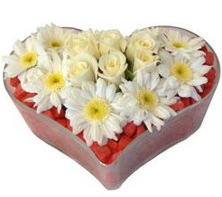 Kalp içerisinde 7 beyaz gül ve papatyalar  Ankara internetten çiçek satışı 