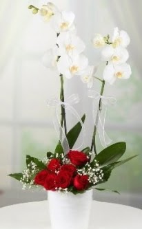 2 dallı beyaz orkide 7 adet kırmızı gül  Ankara 14 şubat sevgililer günü çiçek 
