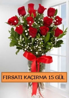  15 İthal kırmızı gül büyük başlı orjinal  Ankara çiçek siparişi sitesi 