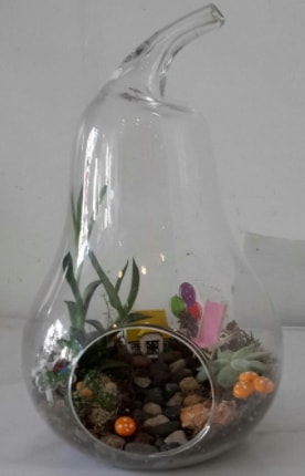 Orta boy cam armut terrarium  Ankara çiçek satışı 