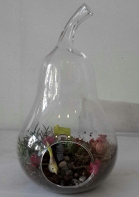 Armut orta boy cam terrarium tanzim  Ankara çiçekçi telefonları 