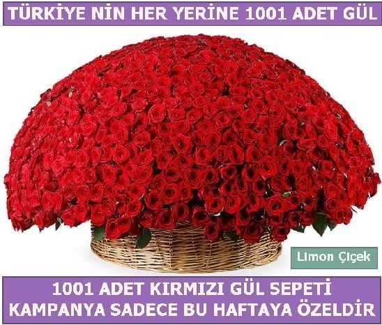 1001 Adet kırmızı gül Bu haftaya özel  Ankara hediye çiçek yolla 