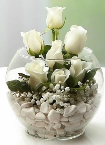 Beyaz Mutluluk 9 beyaz gül fanusta  Ankara çiçek siparişi sitesi 