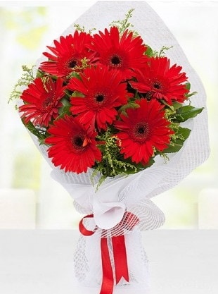 Kırmızı Gelbera Buketi  Ankara internetten çiçek siparişi 