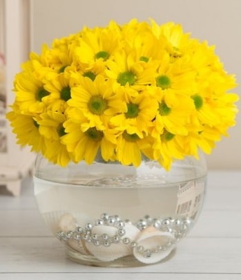 Fanusta Sarı Papatya  Ankara çiçek siparişi sitesi 