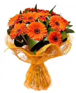 11 adet turuncu gerbera buketi  Ankara çiçekçiler 