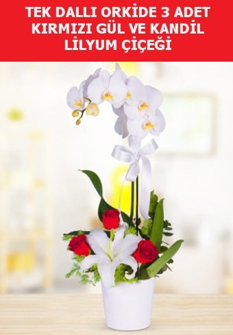 Tek dallı orkide 3 gül ve kandil lilyum  Ankara çiçek yolla 