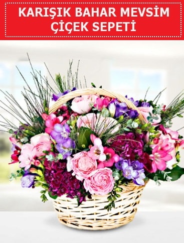 Karışık mevsim bahar çiçekleri  Ankara ucuz çiçek gönder 
