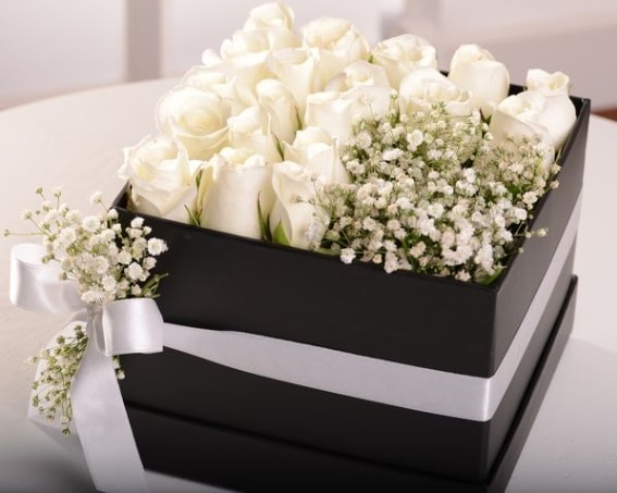 Kutu içerisinde 19 beyaz gül ve cipsofilya  Ankara çiçek , çiçekçi , çiçekçilik 