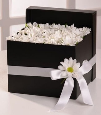 Kutuda beyaz krizantem papatya çiçekleri  Ankara çiçek siparişi sitesi  