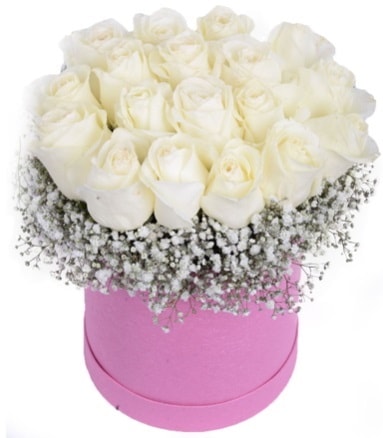 Renkli kutuda 19 adet beyaz gül  Ankara internetten çiçek satışı 