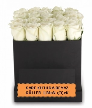 Kare kutuda 17 adet beyaz gül tanzimi  Ankara çiçek siparişi sitesi 