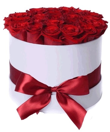 29 adet kırmızı gülden kutu çiçeği  Ankara güvenli kaliteli hızlı çiçek 
