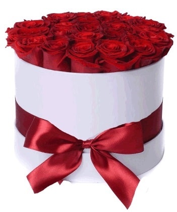 33 adet kırmızı gül özel kutuda kız isteme   Ankara çiçekçiler 